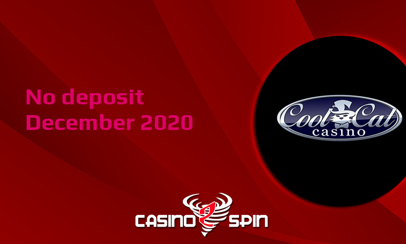 Latest no deposit bonus from CoolCat Casino December 2020